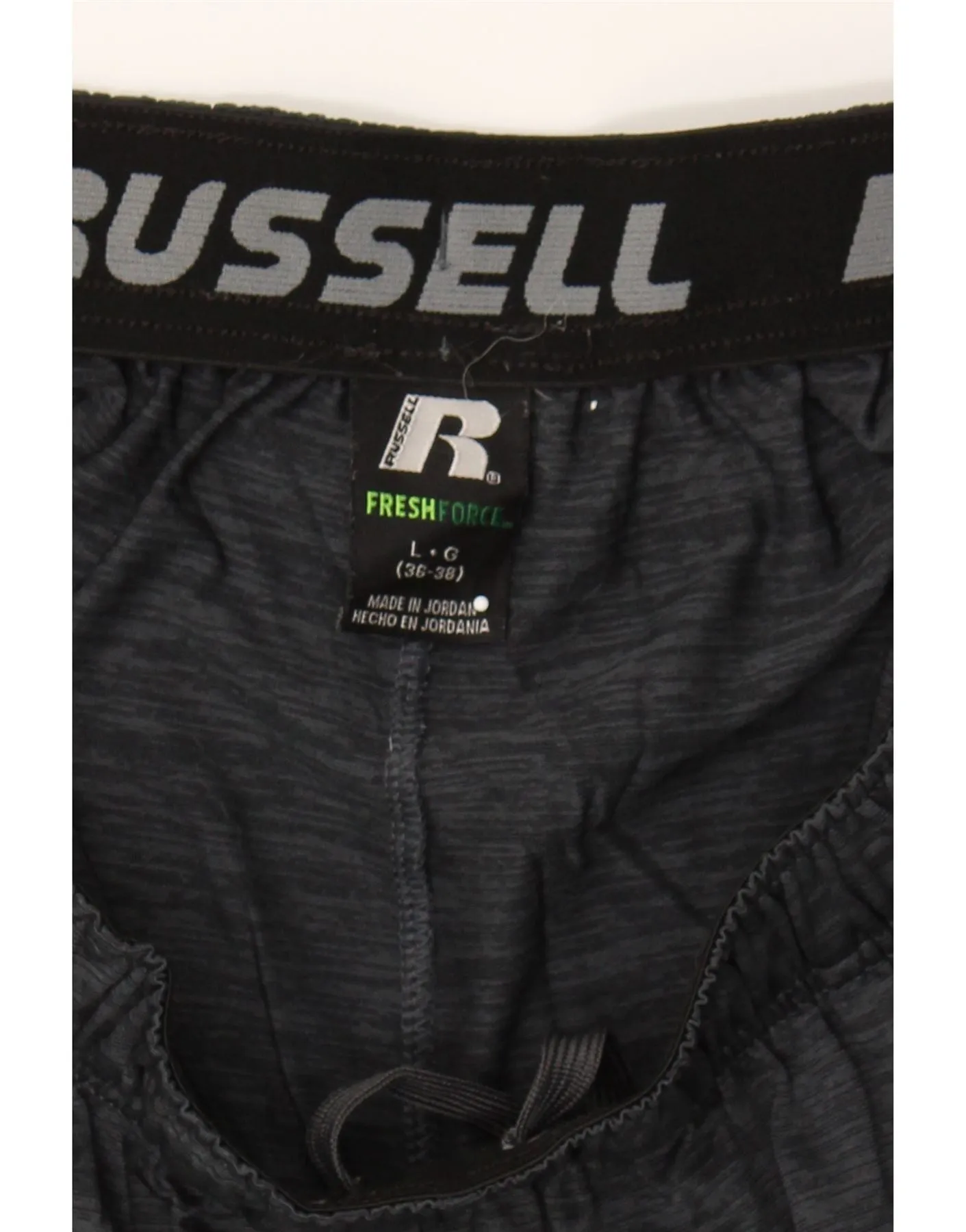 RUSSELL ATHLETIC Mens Sport Shorts Large  Grey Polyester